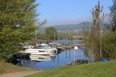 IMG_0029_Kranen-2026