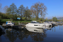 IMG_0045_Kranen-2026
