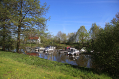 IMG_0165_Kranen-2026