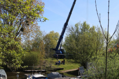 IMG_0166_Kranen-2026