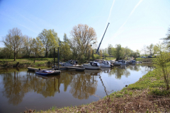 IMG_0171_Kranen-2026