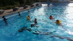 IMG_20191008_125546_626